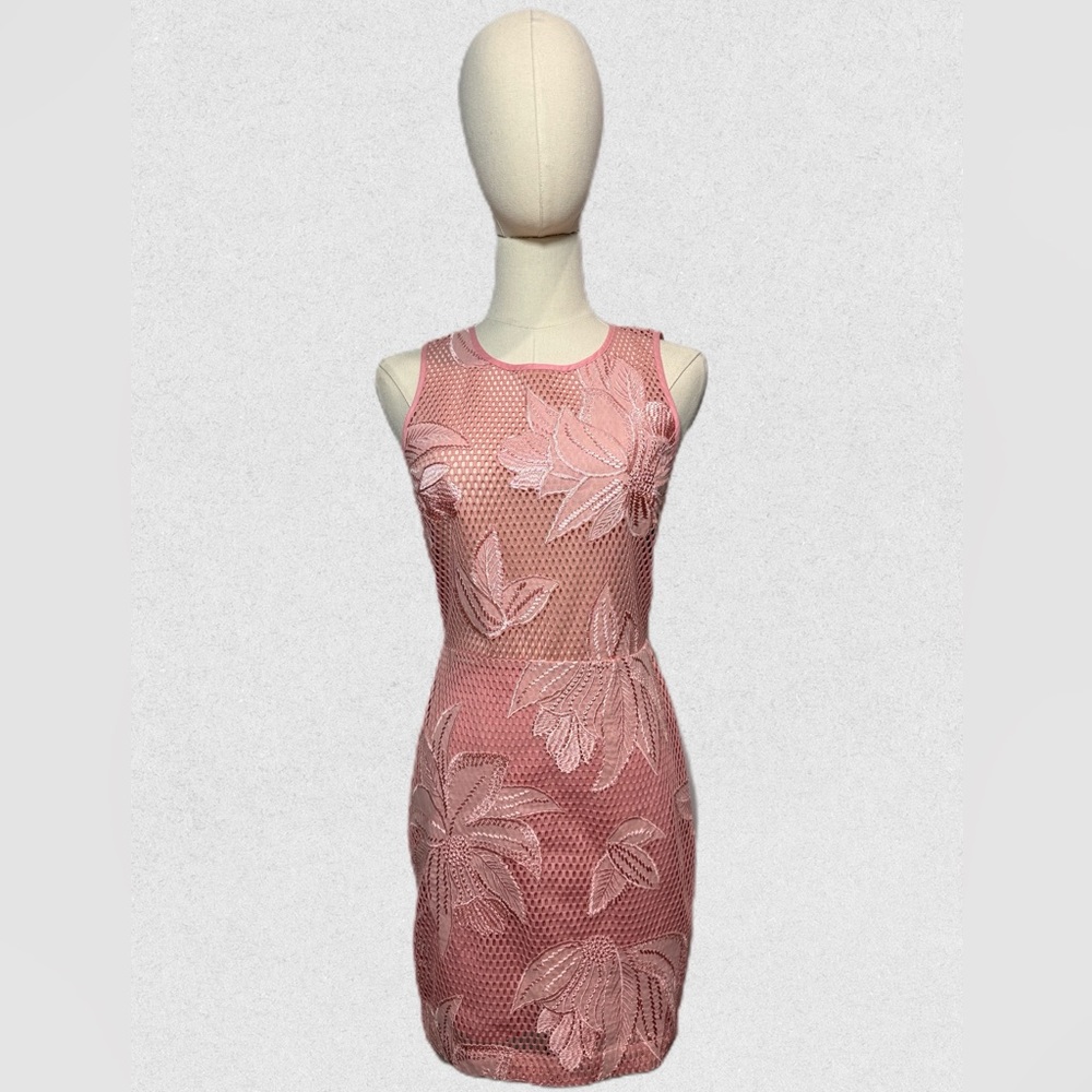 Pink Floral Mesh Dress